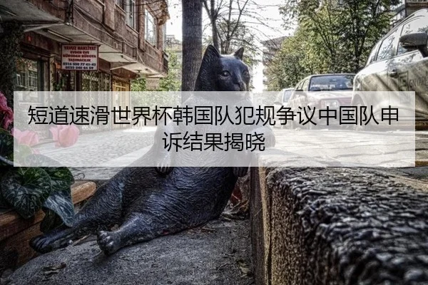 短道速滑世界杯韩国队犯规争议中国队申诉结果揭晓