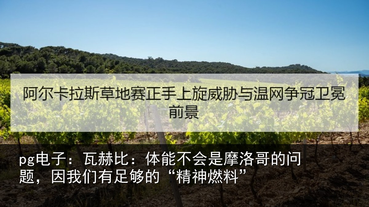 pg电子：瓦赫比：体能不会是摩洛哥的问题，因我们有足够的“精神燃料”