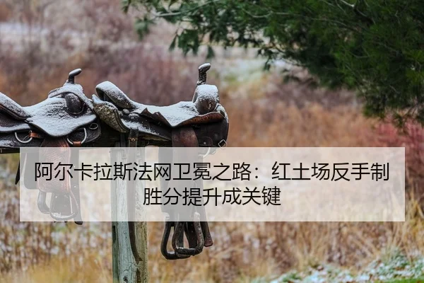 a-er-ka-la-si-fa-wang-wei-mian-zhi-lu-hong-tu-chang-fan-shou-zhi-sheng-fen-ti-sheng-cheng-guan-jian-2-110.jpg