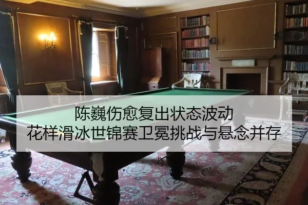 chen-wei-shang-yu-fu-chu-zhuang-tai-bo-dong-hua-yang-hua-bing-shi-jin-sai-wei-mian-tiao-zhan-yu-xuan-nian-bing-cun-3-230.jpg