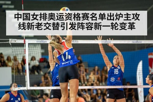 volleyball match action